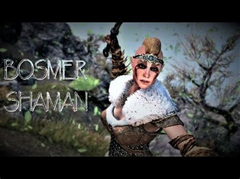 Skyrim SE Remastered Builds: The Bosmer Shaman .